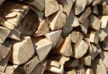 Продавав неіснуючі дрова: криворізькі поліцейські викрили шахрая