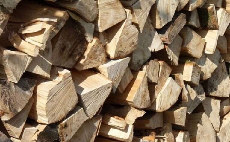 Продавав неіснуючі дрова: криворізькі поліцейські викрили шахрая