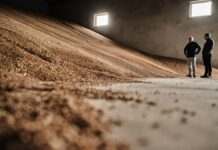 Молдова ще на шість місяців продовжила ліцензування імпорту сільгосппродукції з України