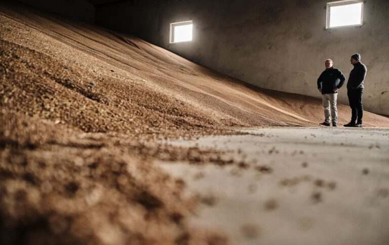 Молдова ще на шість місяців продовжила ліцензування імпорту сільгосппродукції з України