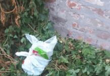 У Дніпрі жінка знайшла пакет із гранатами