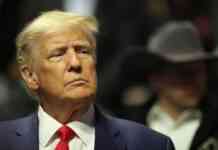 Допоможе апелювати до Трампа. Політолог роз’яснив суть нової Контактної групи