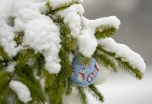 Синоптик дала прогноз на день Святого Миколая в Україні