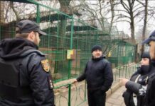 В зоопарку Одеси леопард напав на людину: що відомо