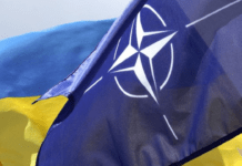 Чи визнає Україна окупацію своїх територій заради членства в НАТО: відповідь президента