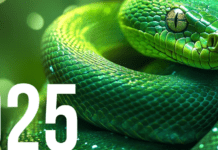 Рік Зеленої Дерев’яної Змії: езотерики розповіли, що чекає на світ у 2025-му