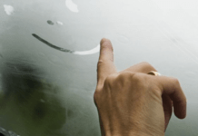 Як позбутися запотівання вікон у машині: п’ять простих способів без кондиціонера