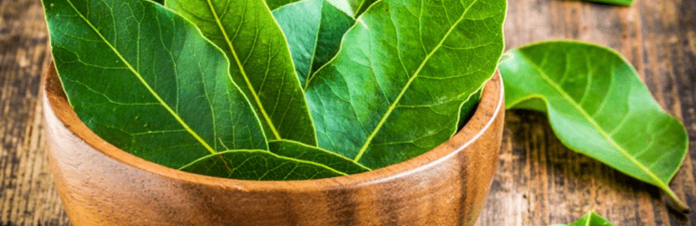 Навіщо класти лавровий лист під холодильник: відповідь вас здивує