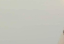 РФ вдарила балістикою по житловому будинку в Кривому Розі: рятувальники дістають постраждалих з-під завалів