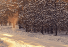 Європу накрив антициклон “Гюнтер”: якою буде погода в Україні на вихідних