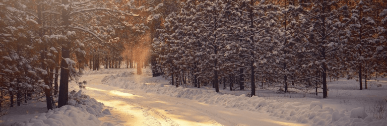 Європу накрив антициклон “Гюнтер”: якою буде погода в Україні на вихідних