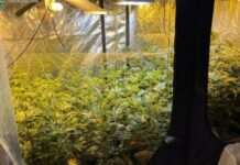 У Запоріжжі викрито учасників злочинної схеми з виготовлення та реалізації наркотиків