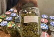 В Україні викрили міжнародну схему контрабанди наркотиків у посилках з продуктами: деталі