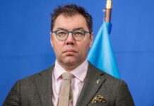 Посол про допомогу від ФРН після розмови Зеленського і Шольца: кожного дня є добрі новини