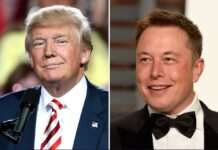 Сенаторка США звернулася до Трампа через вплив Маска