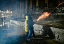 На протестах у Грузії полетіли “коктейлі Молотова” в силовиків