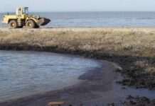 Після аварії танкерів РФ у Керченській протоці на узбережжі Кубані виявили нафтові плями