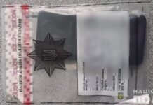 Викрали акумулятор та мобільний телефон: на Криворіжжі поліцейські затримали двох містян