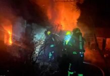 У Криворізькому районі під час пожежі у будинку загинула жінка