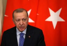 Ізраїльський журналіст пояснив, які інтереси Туреччини в Сирії