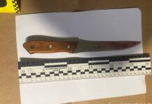 Вбила брата: поліція м. Синельникове оголосила підозру місцевій мешканці