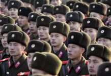 Пентагон висловився про ефективність атак солдатів КНДР в Курській області