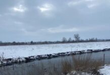 На Дніпропетровщині прокуратура повернула державі землі заказників площею понад 420 га