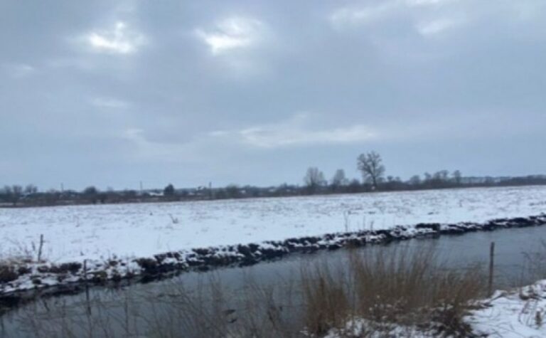 На Дніпропетровщині прокуратура повернула державі землі заказників площею понад 420 га