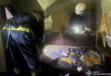 У П’ятихатках Кам’янського району під час пожежі у квартирі загинув чоловік