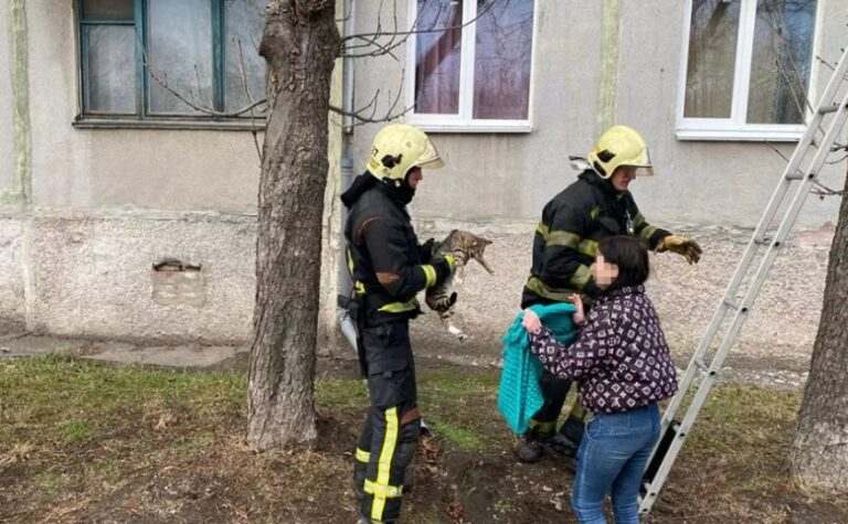У Павлограді надзвичайники зняли пухнастика з дерева