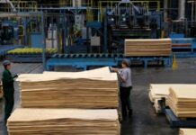 ЄС закупив підсанкційну фанеру в Росії та Білорусі на 1,5 мільярда євро – розслідування