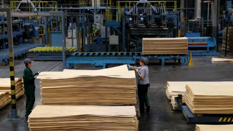 ЄС закупив підсанкційну фанеру в Росії та Білорусі на 1,5 мільярда євро – розслідування