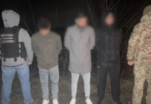 Самотужки спланували втечу з України: на кордоні зі Словаччиною затримали трьох ухилянтів з різних областей країни
