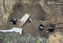 Дніпровський район: рятувальники визволили з пастки трьох песиків