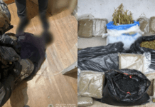 Судитимуть залишки криворізького наркокартелю «Двадцятівські»: досудове розслідування завершено