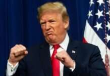 Трамп: мирні переговори щодо України можуть розпочатися невдовзі після вступу на посаду