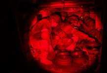 Генштаб ЗСУ: за добу на фронті відбулося 170 зіткнень