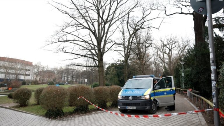 У Німеччині чоловік напав з ножем на людей у парку, серед загиблих 2-річна дитина – поліція