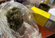 У Кам’янському поліцейські припинили діяльність наркопритону: деталі