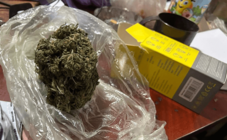 У Кам’янському поліцейські припинили діяльність наркопритону: деталі