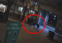 Пограбували посеред вулиці: у Дніпрі двоє зловмисників напали на 62-річну жінку