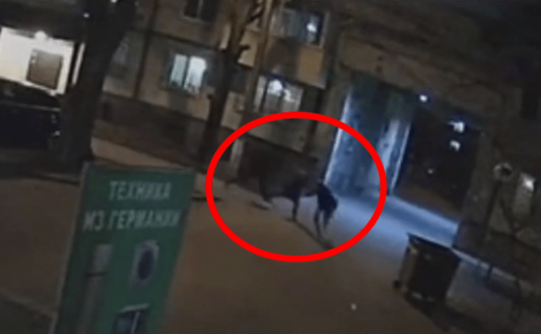 Пограбували посеред вулиці: у Дніпрі двоє зловмисників напали на 62-річну жінку