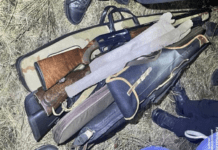 Патрульні Дніпра виявили громадян, які незаконно займались полюванням: подробиці