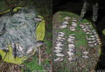 Поліцейські Дніпра затримали браконьєрів із незаконним уловом на понад 240 тисяч гривень