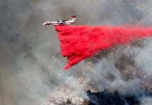 Українські рятувальники можуть допомогти у боротьбі з пожежами у Каліфорнії – президент