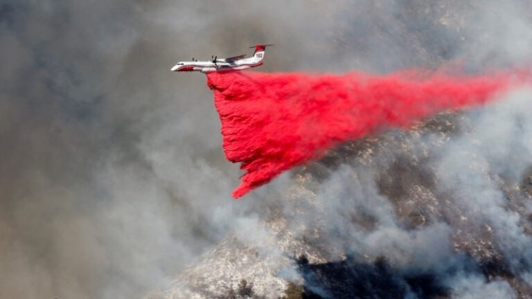 Українські рятувальники можуть допомогти у боротьбі з пожежами у Каліфорнії – президент