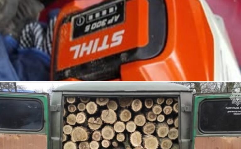 Патрульні Кам’янського виявили громадян, які, ймовірно, причетні до незаконної вирубки дерев