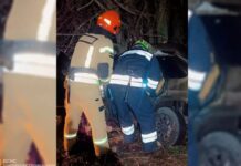 У Синельниківському районі внаслідок ДТП загинуло двоє людей