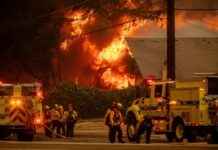 США: через лісові пожежі у Лос-Анджелесі загинуло 11 людей, запровадили комендантську годину