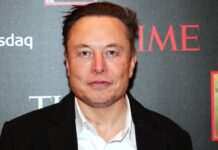 Зеленський хоче, щоб Маск був на боці України